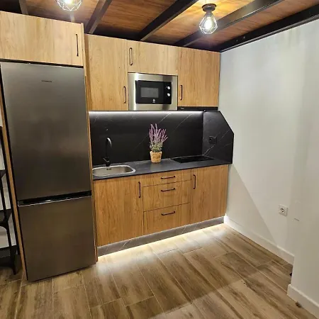 Apartment Loft Puerta Almodovar