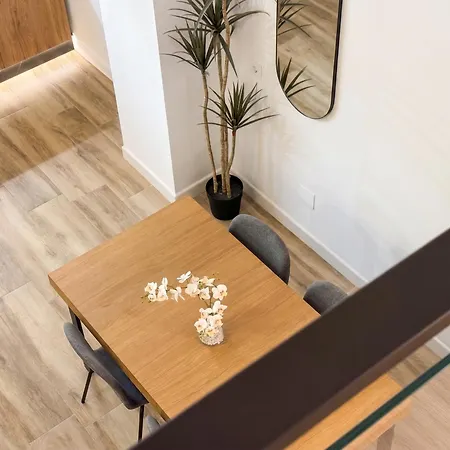 Apartment Loft Puerta Almodovar